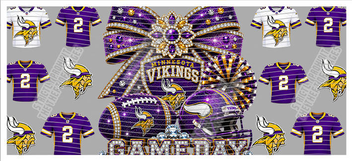 16oz team-NFL 3529
